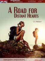 A road for distant hearts