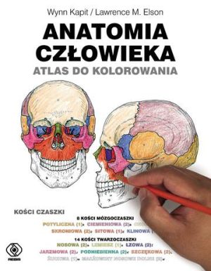 Anatomia człowieka atlas do kolorowania