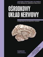 Anatomia prawidłowa człowieka ośrodkowy układ nerwowy podręcznik dla studentów i lekarzy