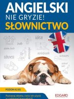 Angielski. Słownictwo. Nie gryzie!