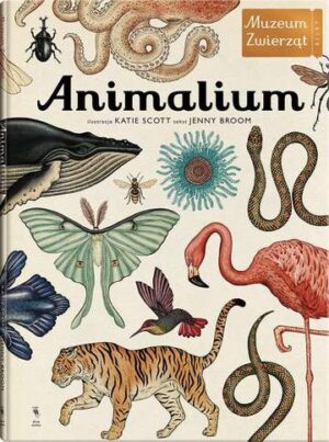 Animalium muzeum zwierząt wyd. 1