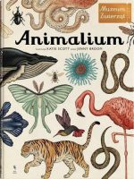 Animalium muzeum zwierząt wyd. 2