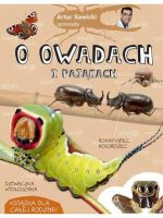 Artur Sawicki opowiada o owadach i pająkach