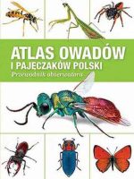 Atlas owadów i pajęczaków polski przewodnik obserwatora