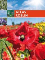 Atlas roślin imagine