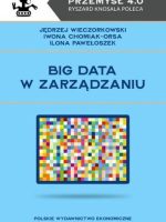 Big data w zarządzaniu
