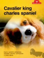 Cavalier king charles spaniel pies na medal wyd. 2011