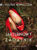 CD MP3 Jarzębinowy zagajnik