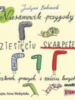 CD MP3 Niesamowite przygody dziesięciu skarpetek