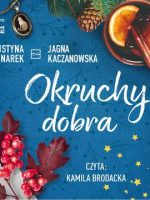 CD MP3 Okruchy dobra