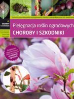 Choroby i szkodniki pielęgnacja roślin ogrodowych