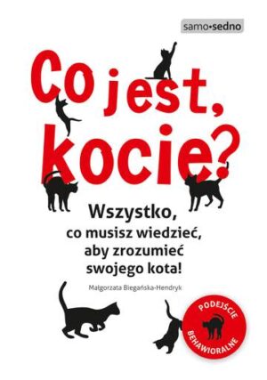 Co jest kocie wszystko co musisz wiedzieć aby zrozumieć swojego kota