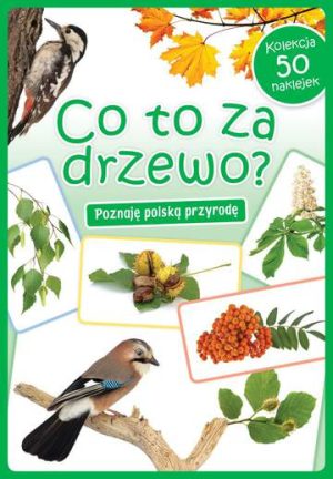 Co to za drzewo? Poznaję polską przyrodę