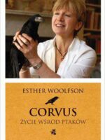 Corvus życie wśród ptaków