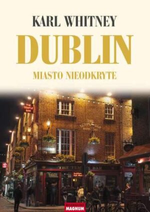 Dublin miasto nieodkryte