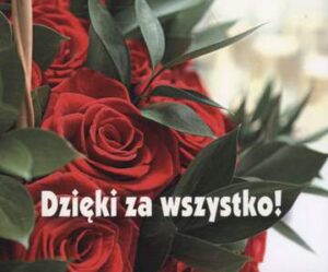 Dzięki za wszystko perełki