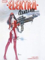 Elektra assassin