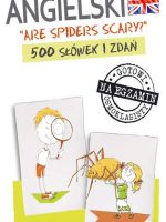 Fiszki angielski are spiders scary 500 słówek i zdań klasy 4-8
