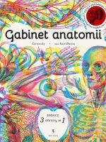 Gabinet anatomii wyd. 2