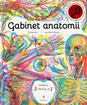 Gabinet anatomii wyd. 2