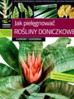 Jak pielęgnować rośliny doniczkowe choroby i szkodniki