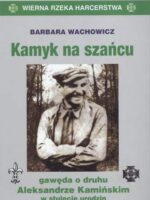 Kamyk na szańcu gawęda o druhu aleksandrze kamińskim w stulecie urodzin