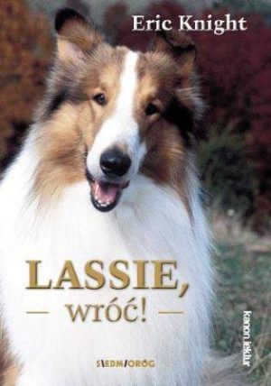 Lassie wróć