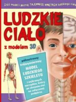 Ludzkie ciało z modelem 3d