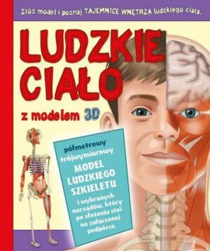 Ludzkie ciało z modelem 3d