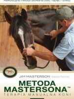 Metoda mastersona terapia manualna koni