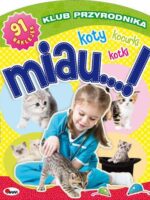 Miau koty kotki kocurki klub przyrodnika