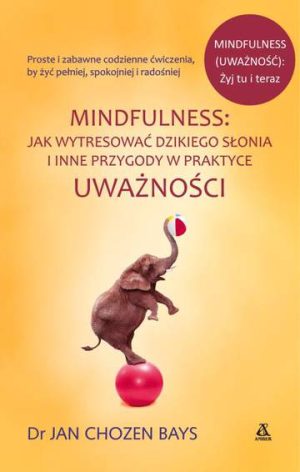 Mindfulness jak wytresować dzikiego słonia i inne przygody w praktyce uważności