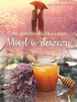 Miód w deszczu