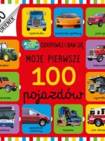 Moje pierwsze 100 pojazdów