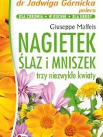 Nagietek ślaz i mniszek trzy niezwykłe kwiaty