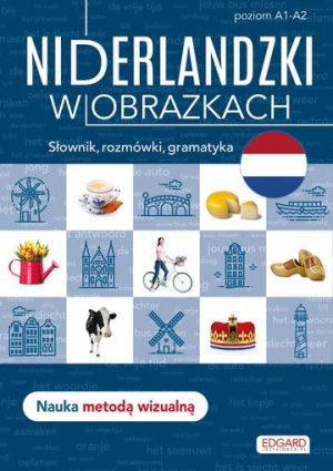 Niderlandzki w obrazkach. Słówka, rozmówki, gramatyka