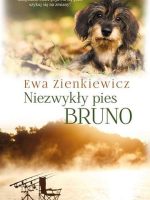 Niezwykły pies bruno