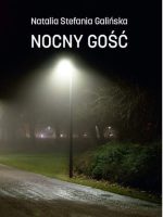 Nocny gość