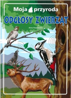 Odgłosy zwierząt moja przyroda