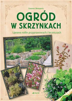 Ogród w skrzynkach uprawa roślin przyprawowych i leczniczych