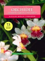 Orchidee amatorska uprawa storczyków
