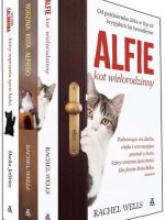 Pakiet alfie kot wielorodzinny / rodzina kota alfiego / syn kota salomona