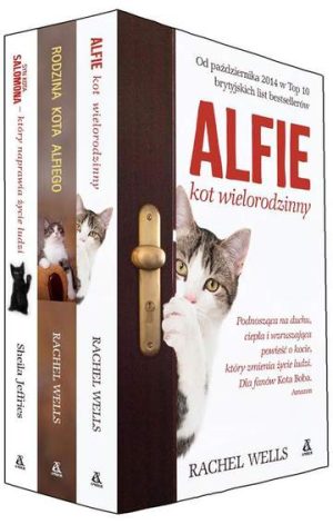 Pakiet alfie kot wielorodzinny / rodzina kota alfiego / syn kota salomona