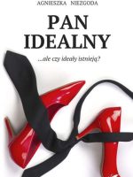 Pan Idealny