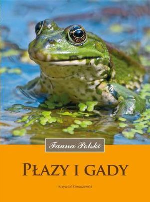 Płazy i gady fauna polski