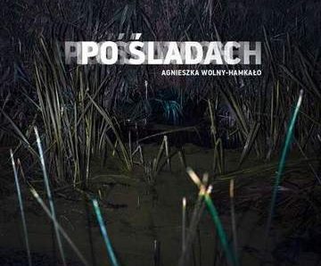 Po śladach