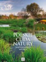 Polskie cuda natury najpiękniejsze miejsca