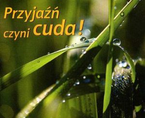 Przyjaźń czyni cuda perełki