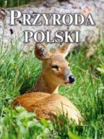 Przyroda polski