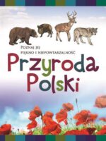 Przyroda polski poznaj jej piękno i niepowtarzalność